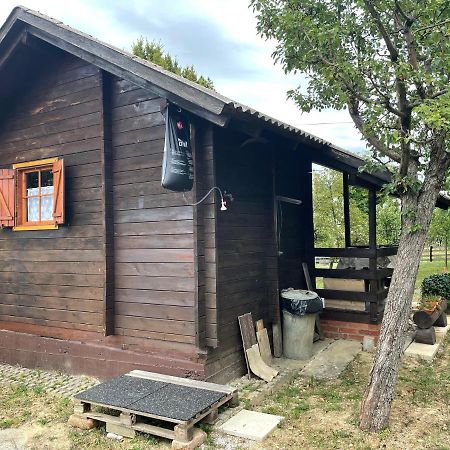 Ljetni Bungalov Kaniza Vila Zagreb Exterior foto