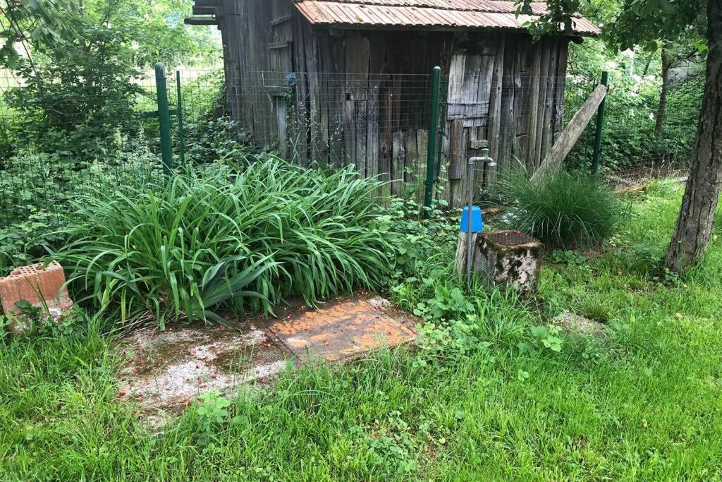 Ljetni Bungalov Kaniza Vila Zagreb Exterior foto